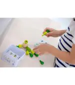 קקטוס עץ ירוק שיווי משקל