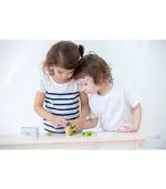 קקטוס עץ ירוק שיווי משקל