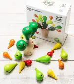 קקטוס עץ ירוק שיווי משקל