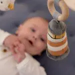 אוניברסיטה מעץ - מפרץ המלחים