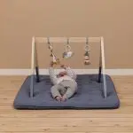 אוניברסיטה מעץ - מפרץ המלחים
