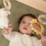 אוניברסיטה מעץ - חווה
