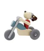 כלב על אופנוע תלת גלגל