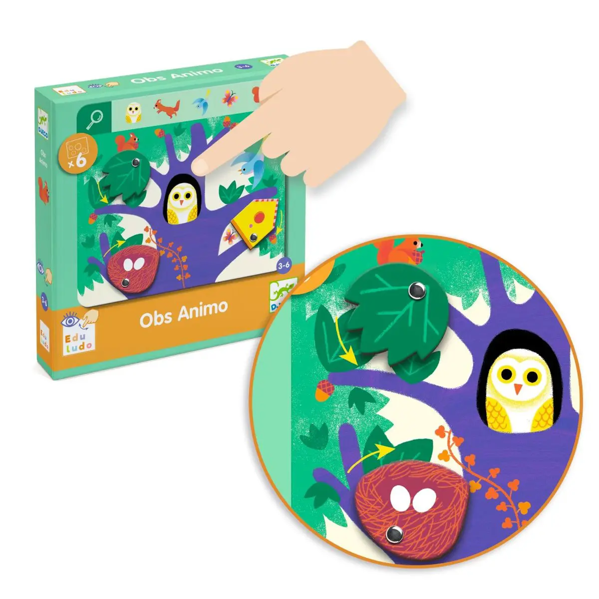לימודי - חפש ומצא
