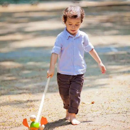 מקל הליכה - ברווז