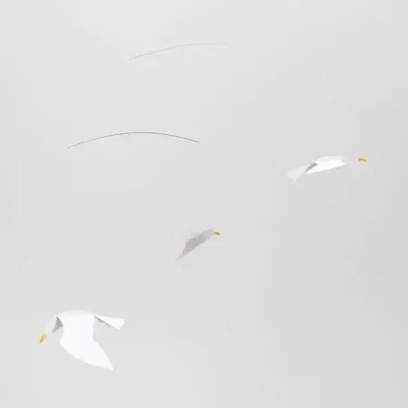 מובייל - שחפים