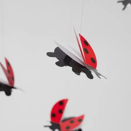 מובייל - חיפושיות