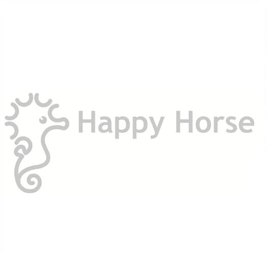 Happy Horse - האפי הורס