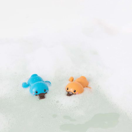 ברווזוני אמבטיה שוחים
