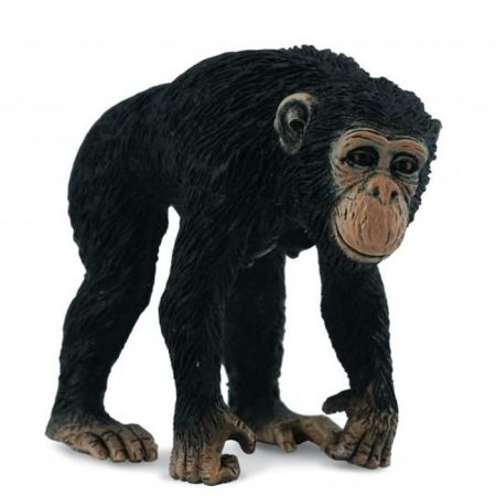 פיגורות חיות - שימפנזה נקבה