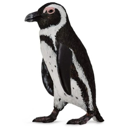 פיגורות חיות - פינגווין אפריקאי