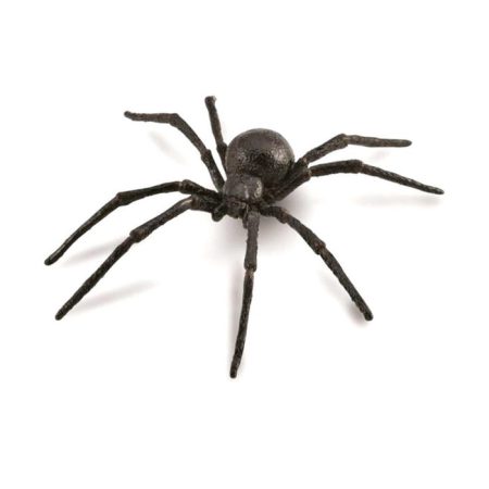 פיגורות חיות - עכביש אלמנה שחורה