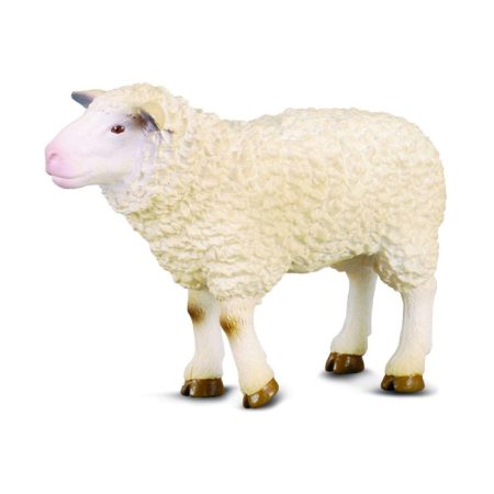 פיגורות חיות - כבשה