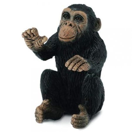פיגורות חיות - גור שימפנזה