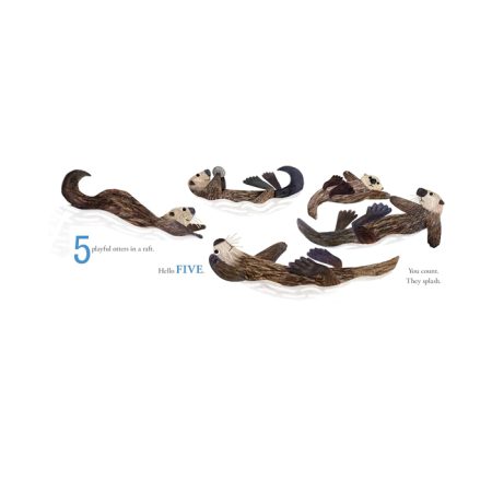 ספר קרטון קשיח - שלום מספרים